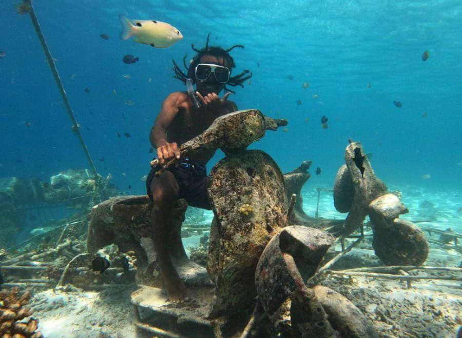 FB_IMG_1729524762399