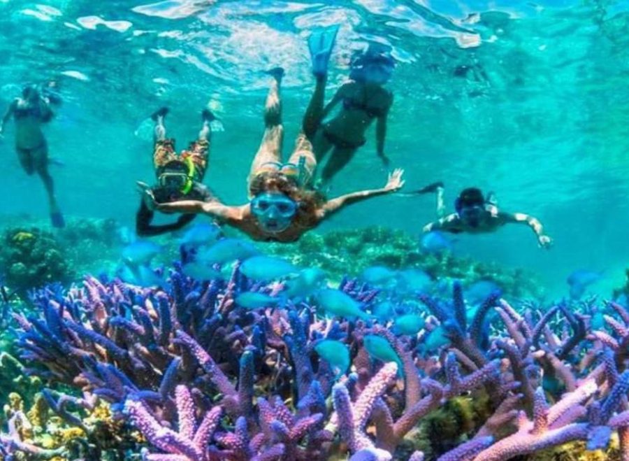 PengalamanSnorkelingdiGiliTrawangan,Lombok