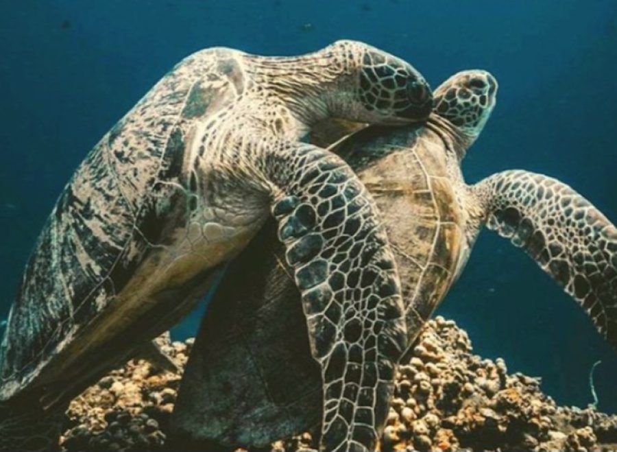 Screenshot_20241102_001341_Instagram