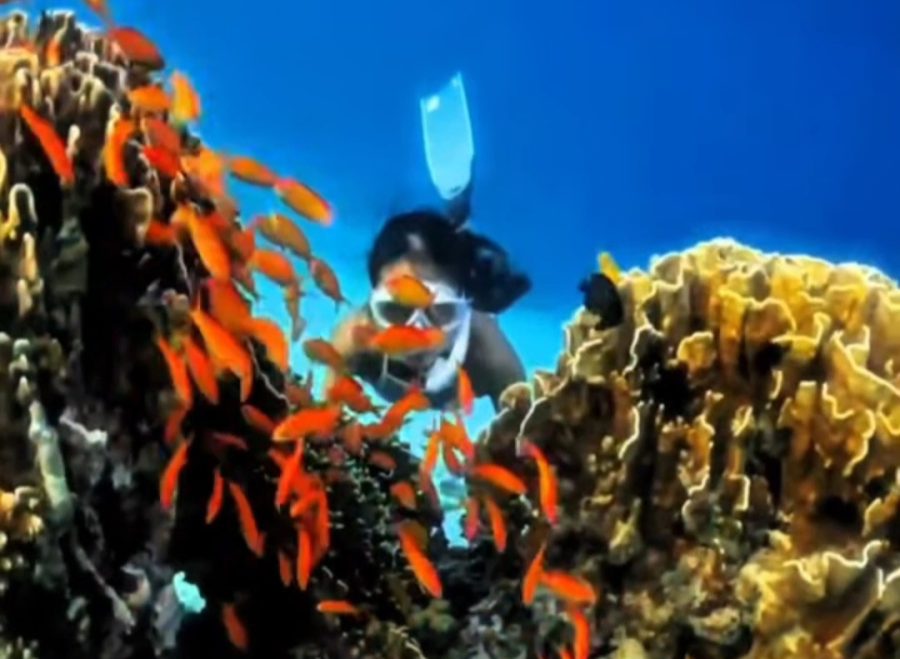 Screenshot_20250417_204840_Gallery