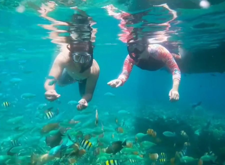 Screenshot_20250418_220223_Gallery