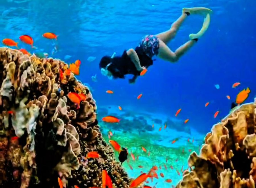 VideoCapture_20241202-213002