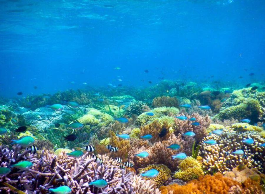 thumbs_tour_gili_snorkeling_02