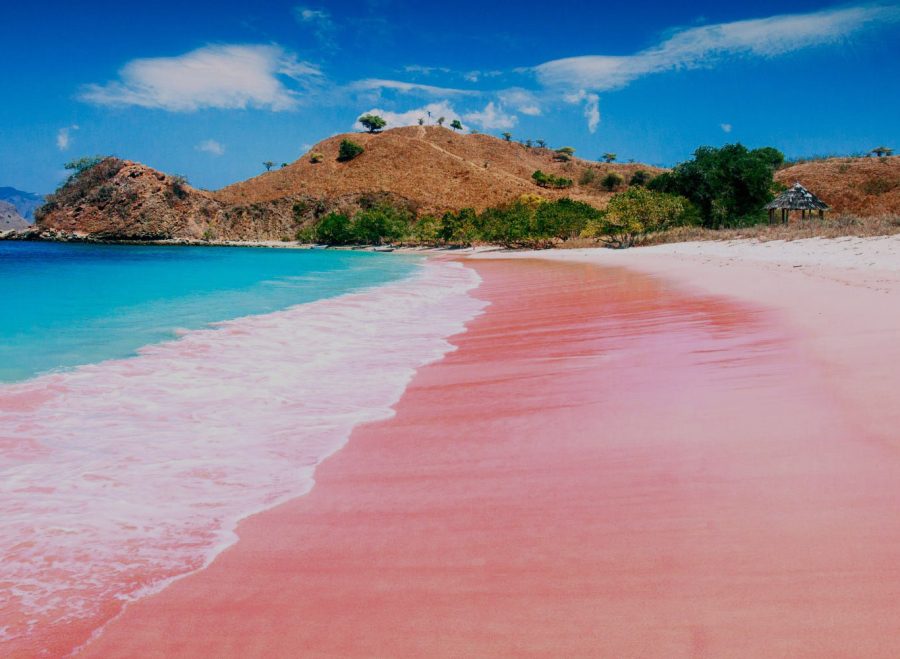 title-pinkbeach